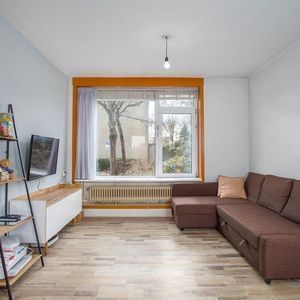 Jasondreef 12 Photo 4