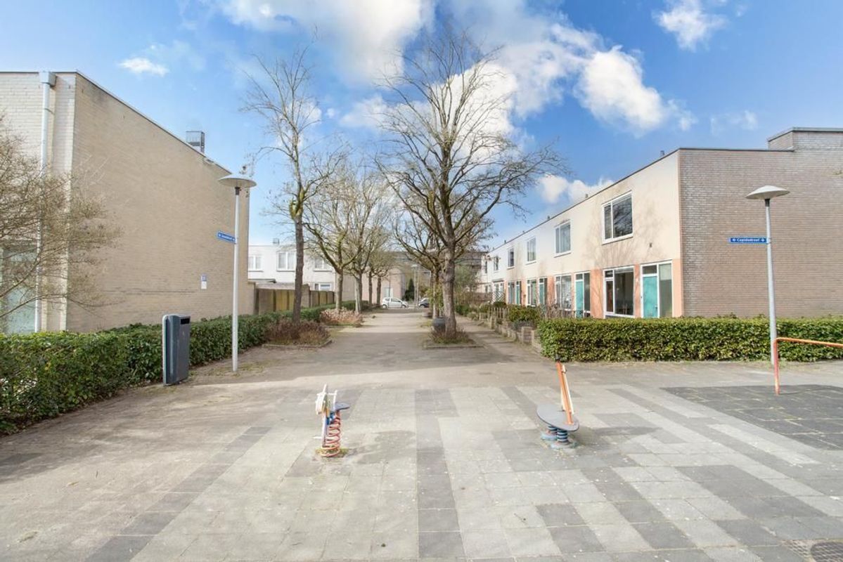 Jasondreef 12 Photo Blur 23