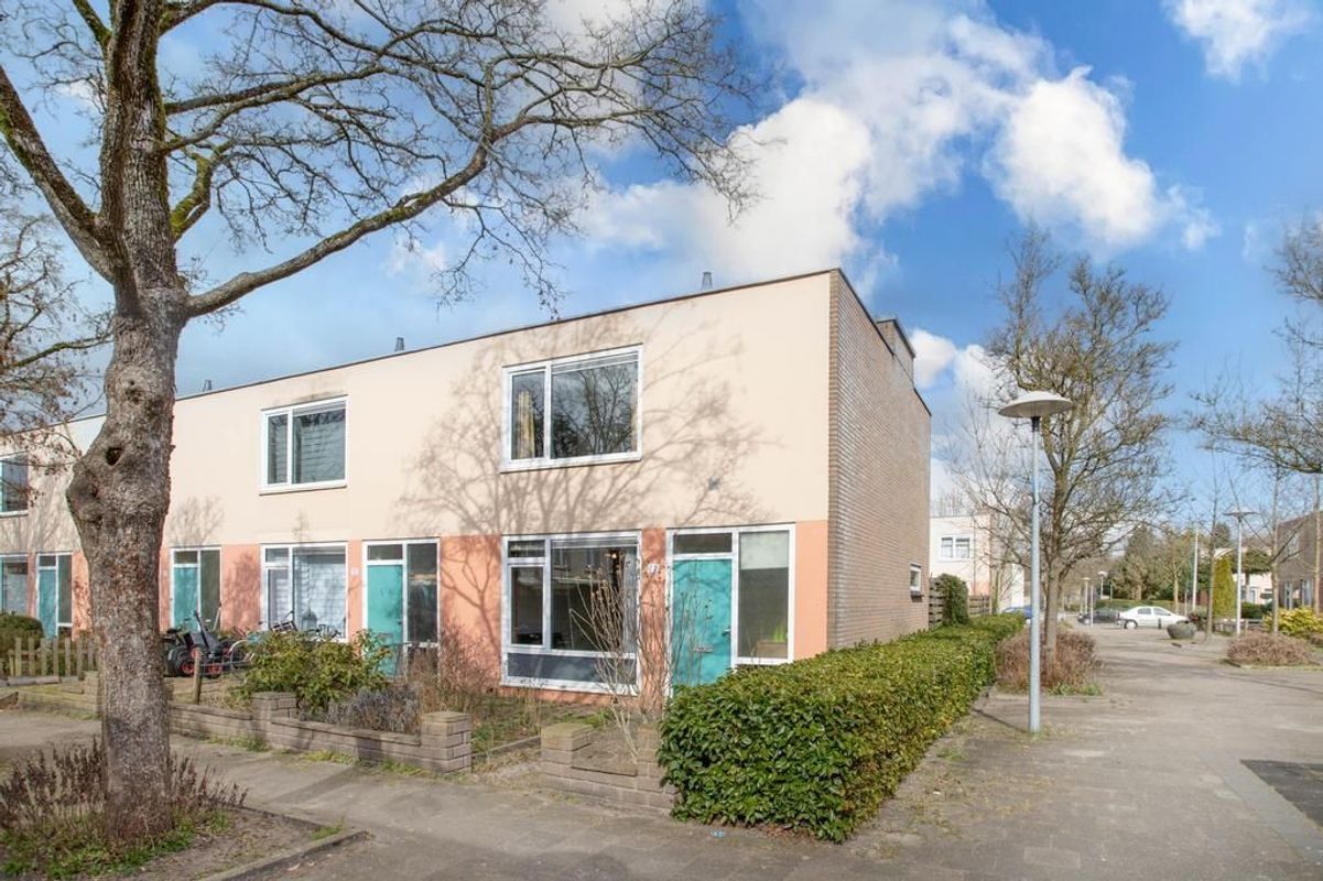 Jasondreef 12 Photo Blur 21