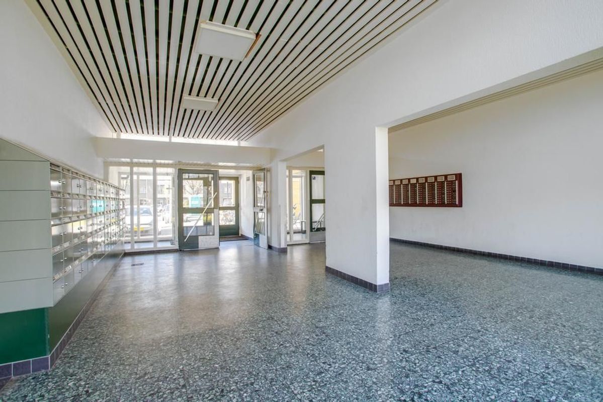 Livingstonelaan 808 Photo Blur 21