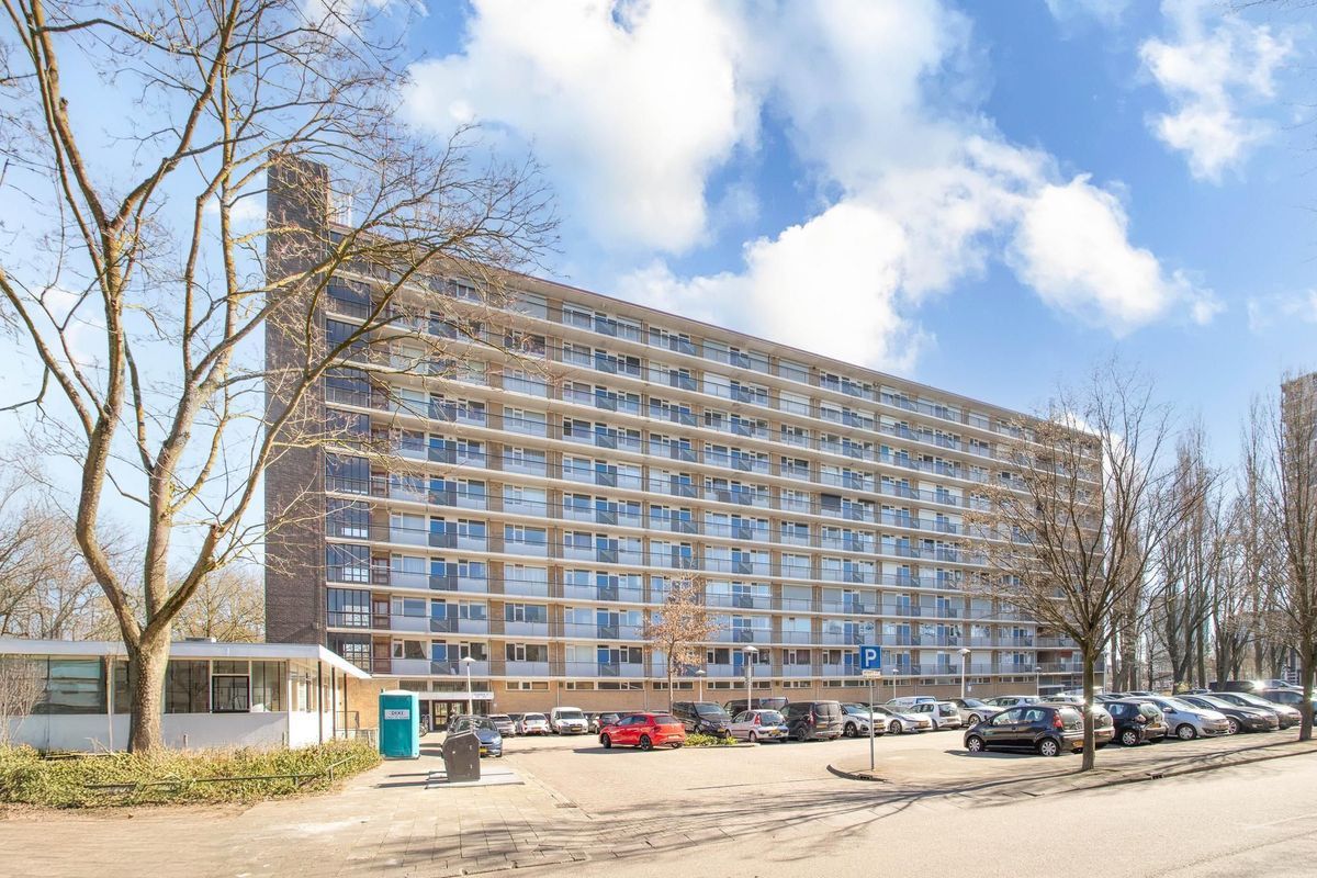 Livingstonelaan 808 Photo Blur 0