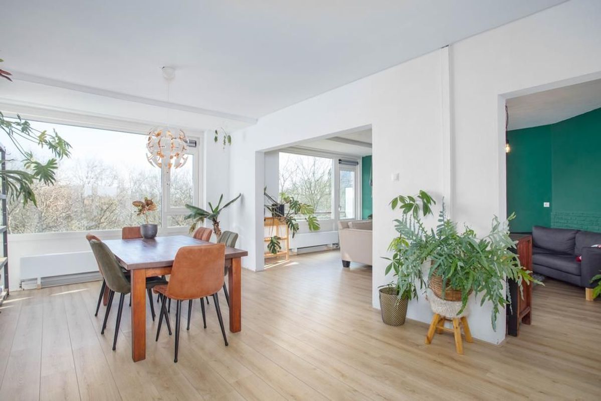 Livingstonelaan 808 Photo Blur 3