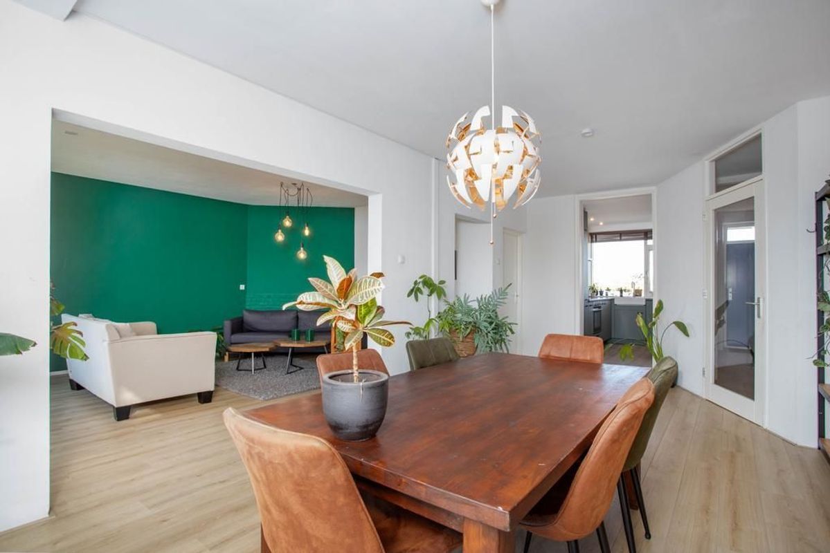 Livingstonelaan 808 Photo Blur 4