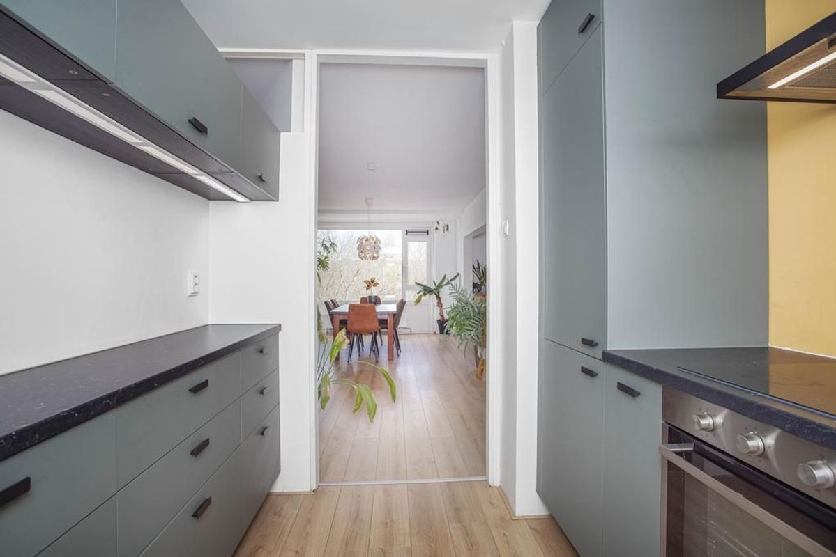 Livingstonelaan 808 Photo Blur 9