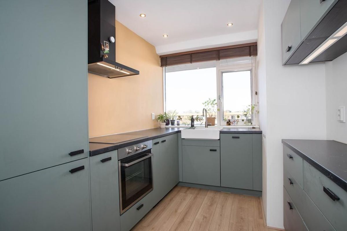 Livingstonelaan 808 Photo Blur 11