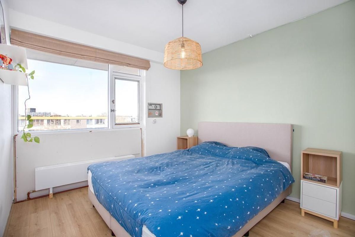 Livingstonelaan 808 Photo Blur 14