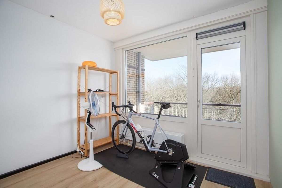 Livingstonelaan 808 Photo Blur 23