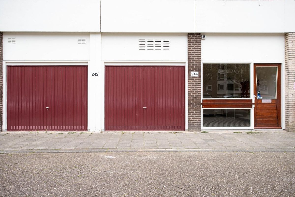 Livingstonelaan 244 Photo Blur 0