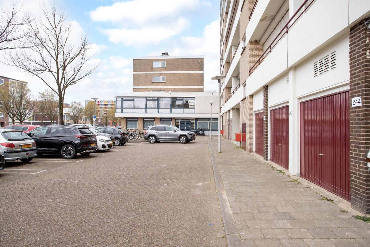 Livingstonelaan 244 Photo Blur 2