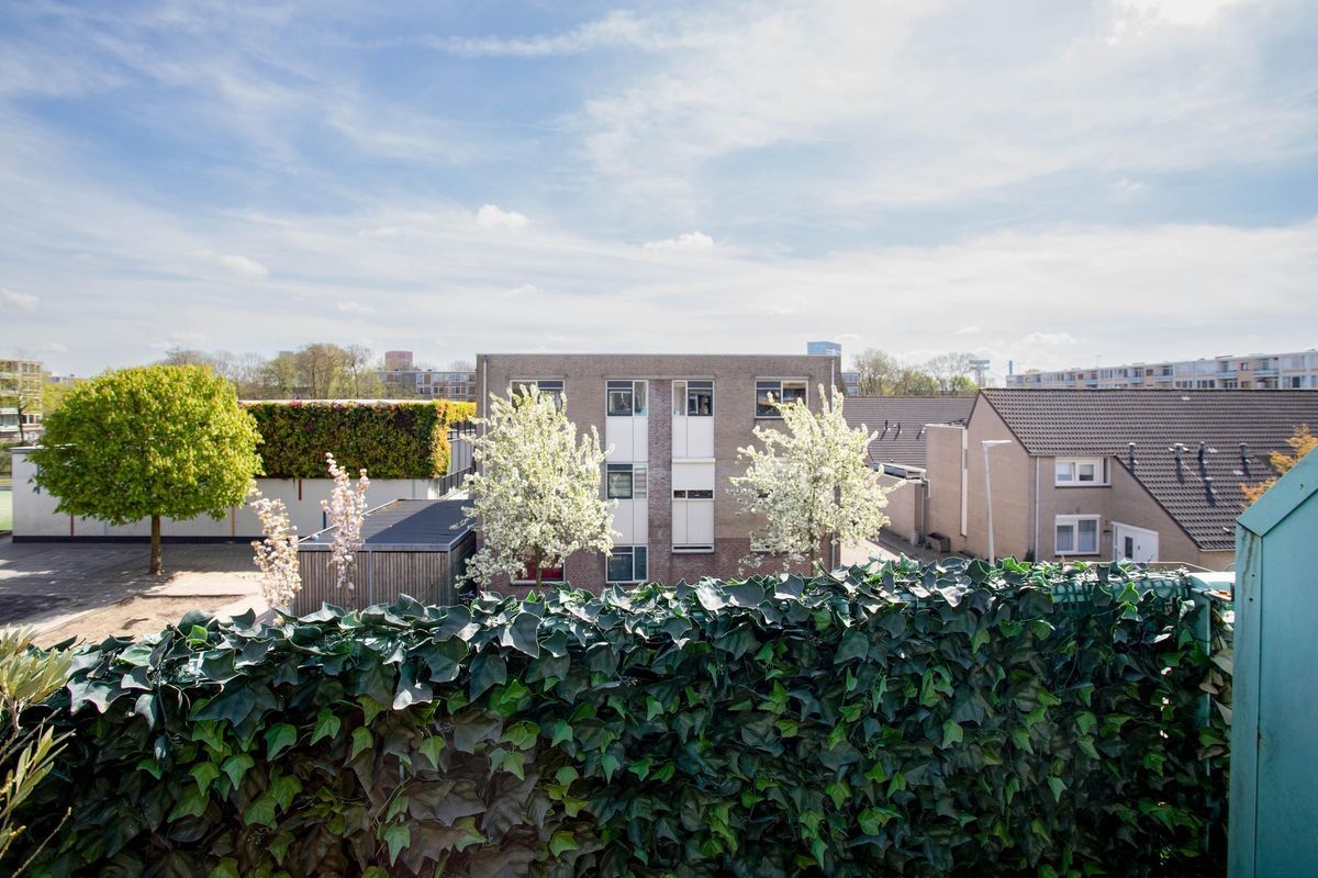 Torreslaan 51 Photo Blur 13