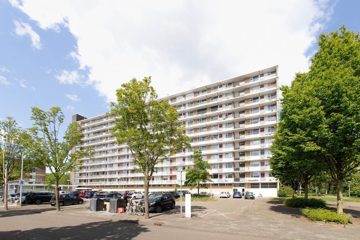 Livingstonelaan 520 Photo Blur 2