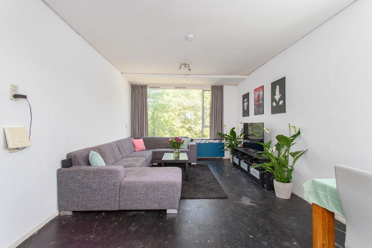 Livingstonelaan 520 Photo Blur 0