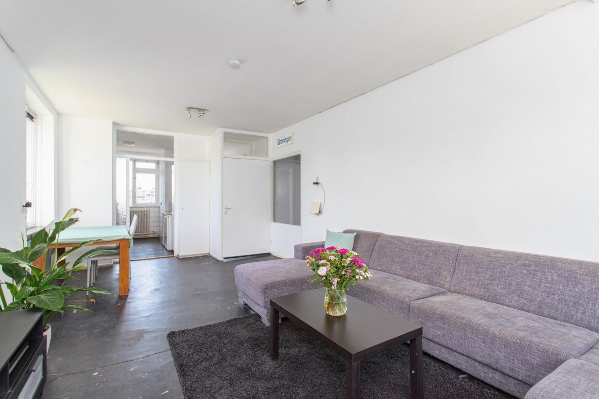 Livingstonelaan 520 Photo Blur 6