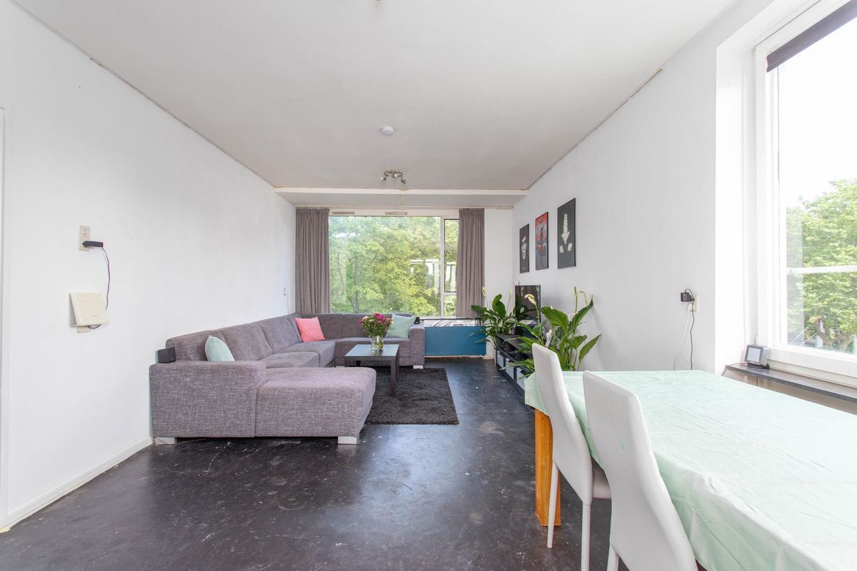 Livingstonelaan 520 Photo Blur 5