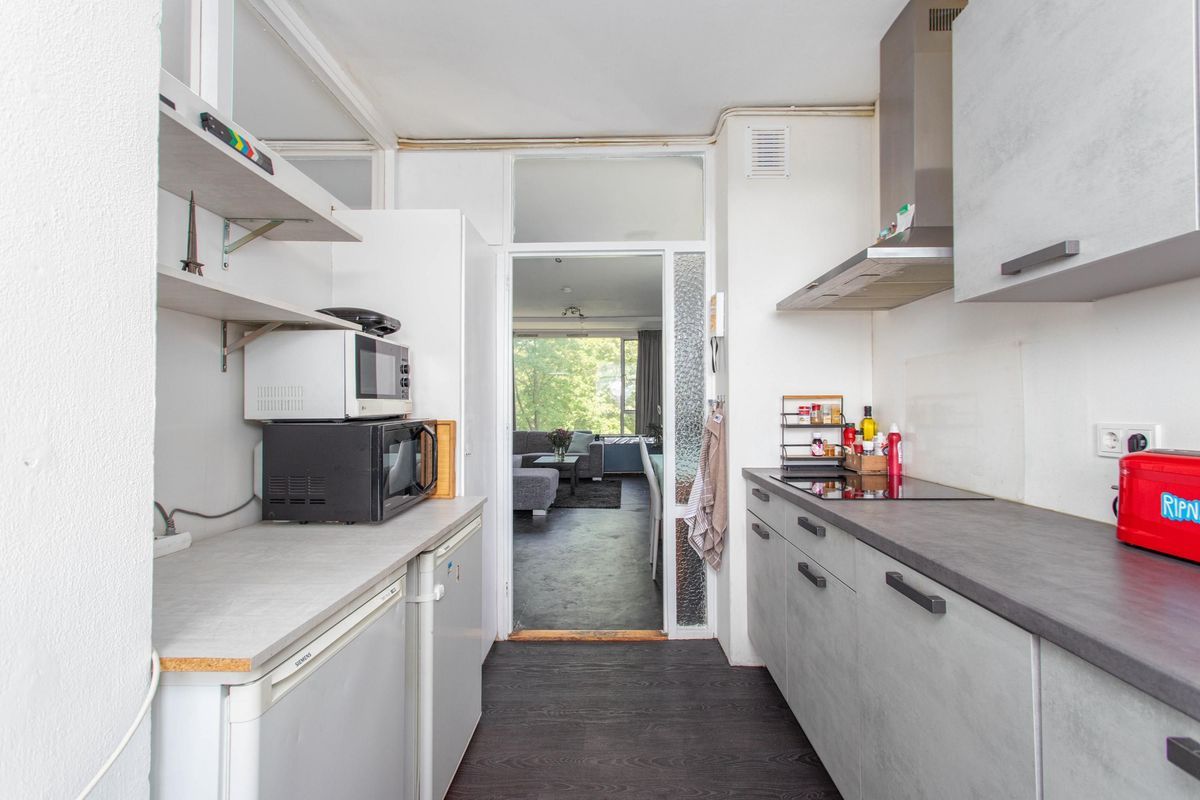 Livingstonelaan 520 Photo Blur 9