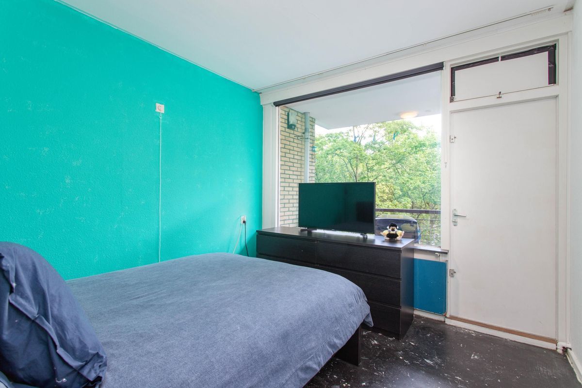 Livingstonelaan 520 Photo Blur 11