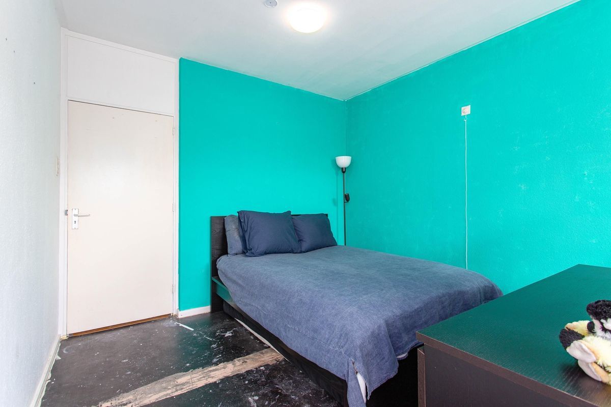 Livingstonelaan 520 Photo Blur 12