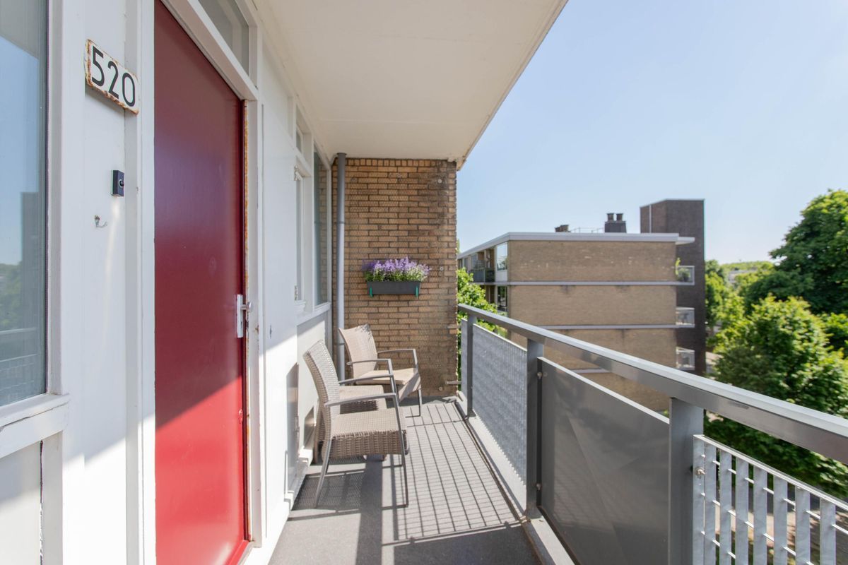 Livingstonelaan 520 Photo Blur 21