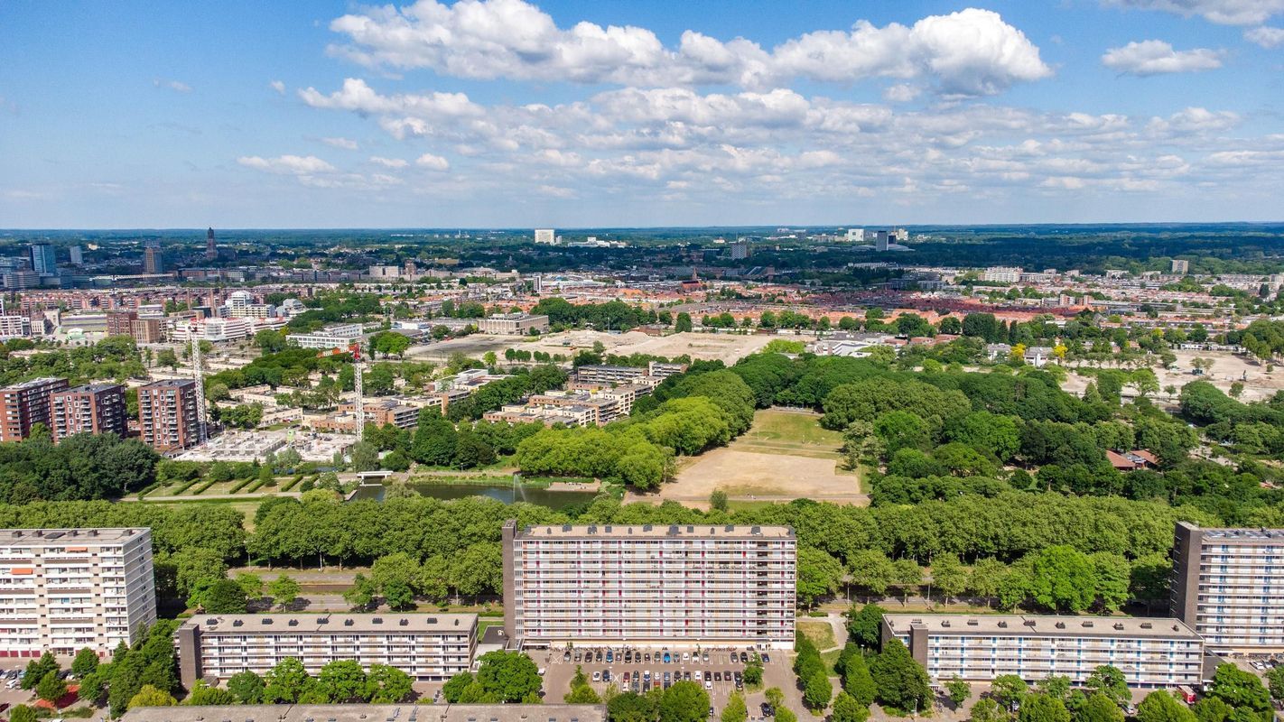 Livingstonelaan 520 Photo Blur 24