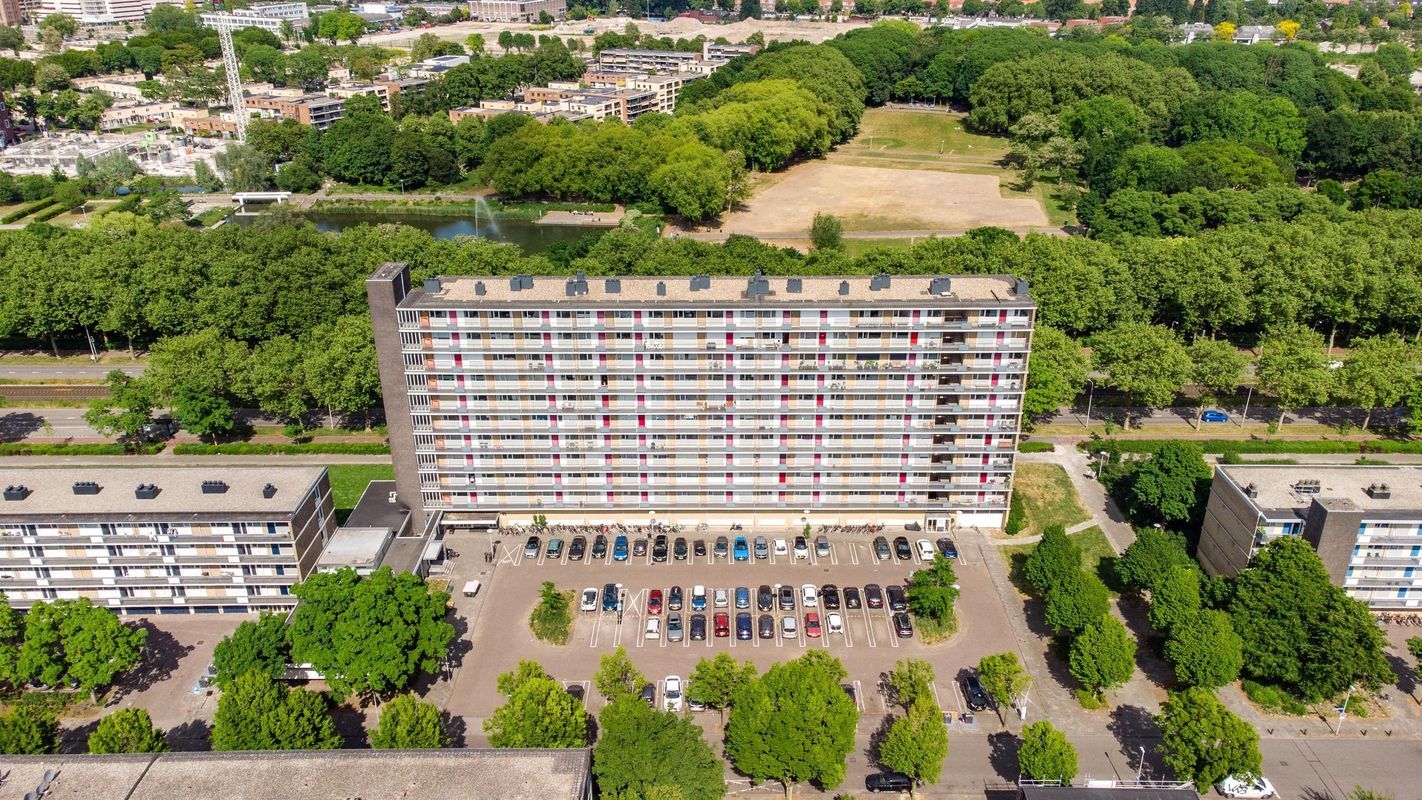 Livingstonelaan 520 Photo Blur 25