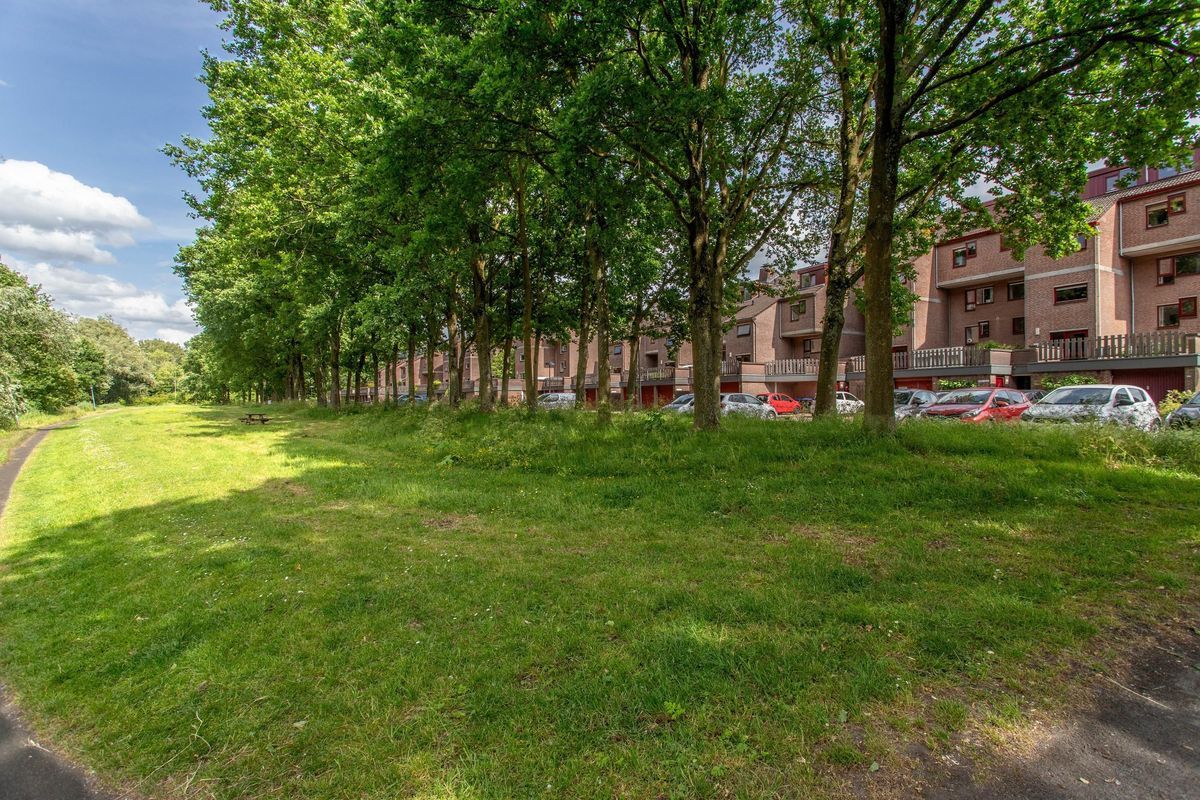 Albert van Dalsumlaan 505 Photo Blur 31