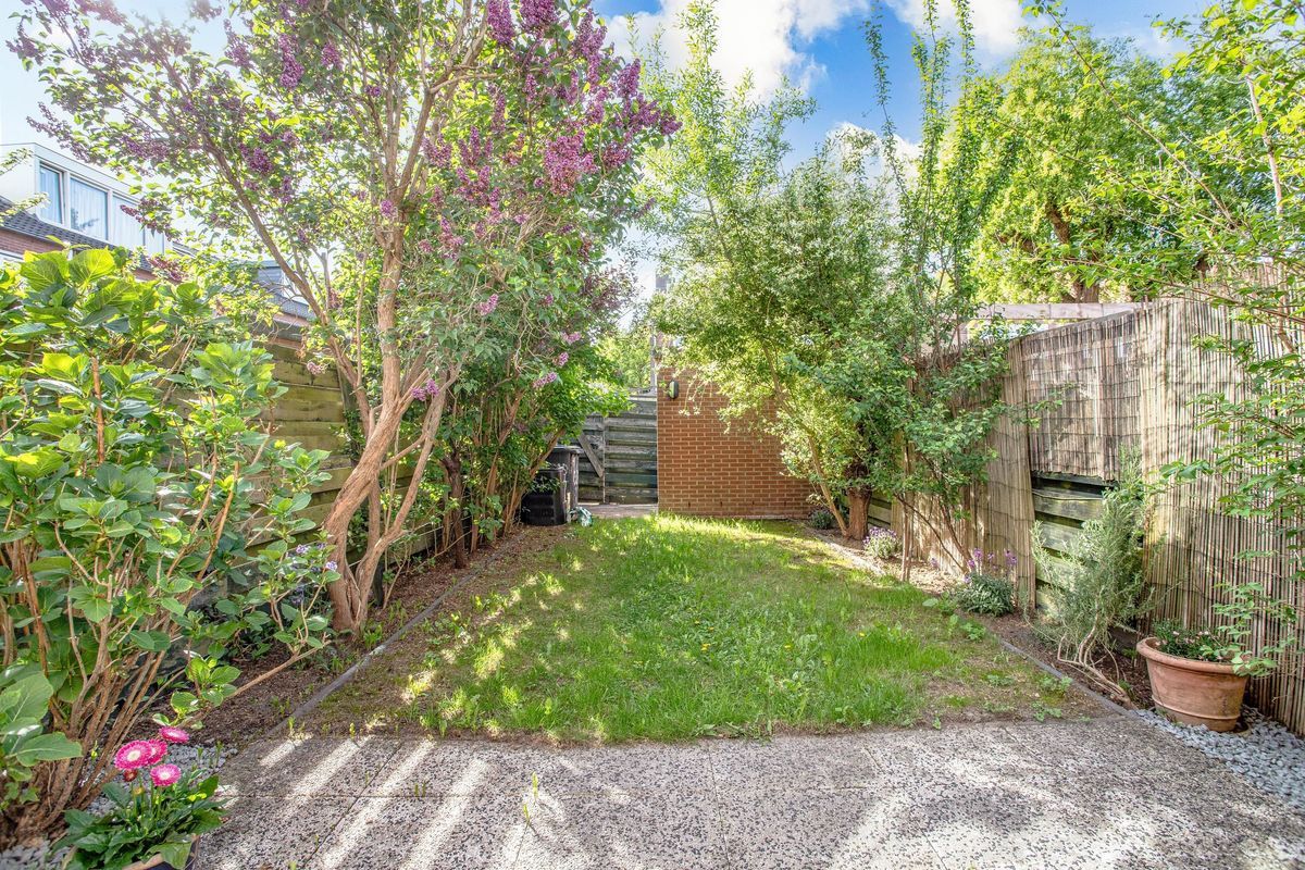 Amerhof 110 Photo Blur 35