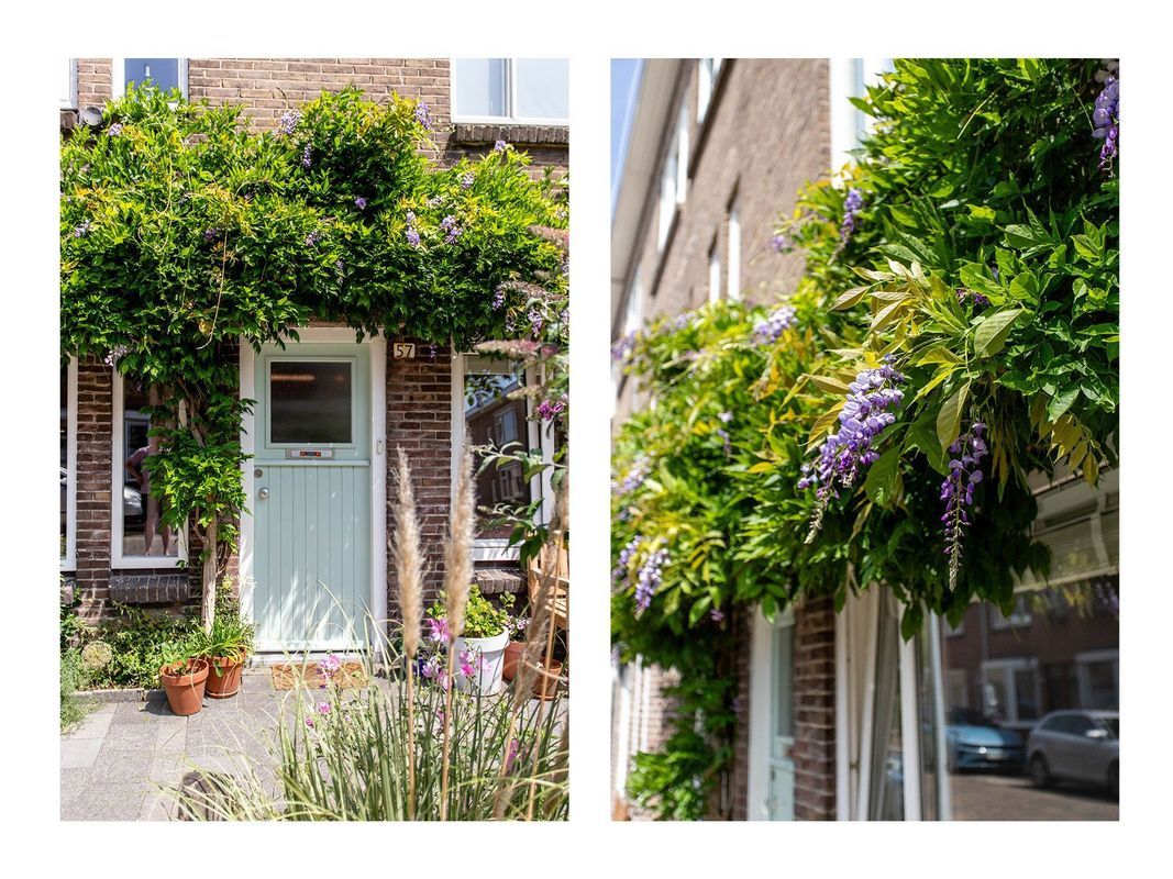 Bataviastraat 57 Photo Blur 26