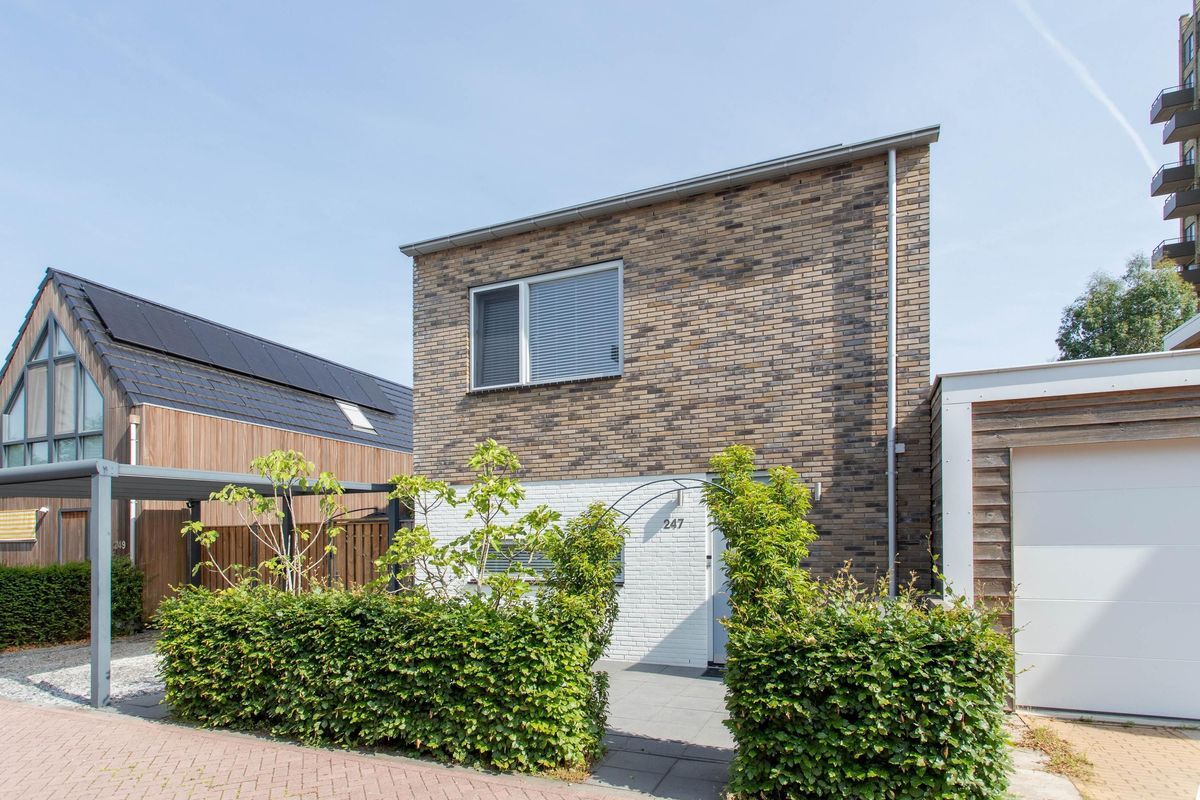 Edmond Audranstraat 247 Photo Blur 34