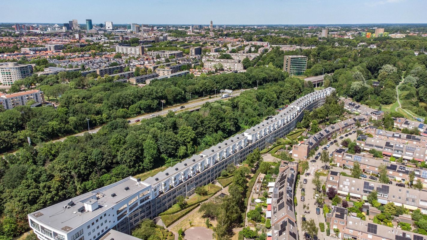 Wageningseberg 258 Photo Blur 30