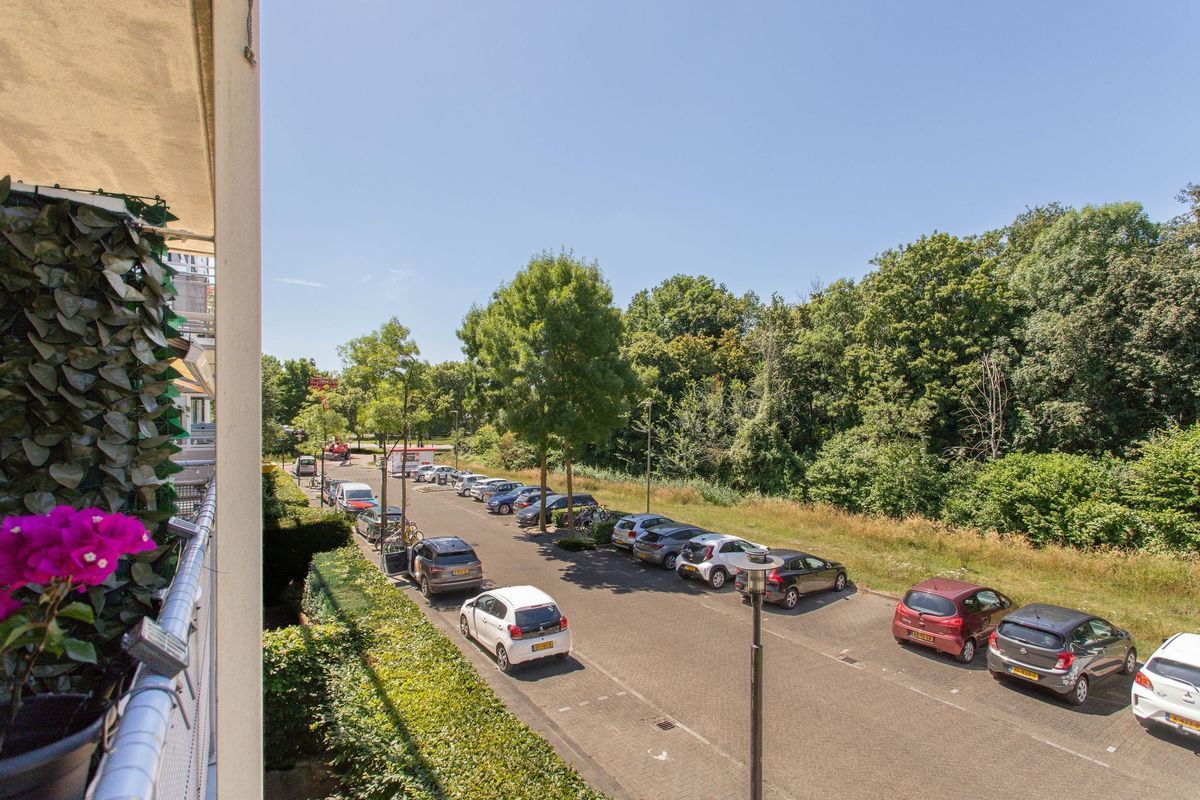 Wageningseberg 258 Photo Blur 19