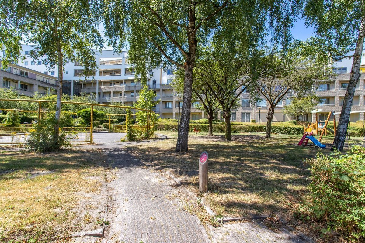 Wageningseberg 258 Photo Blur 32