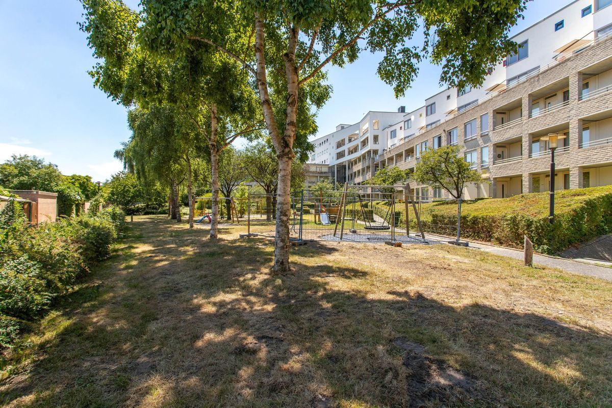 Wageningseberg 258 Photo Blur 33