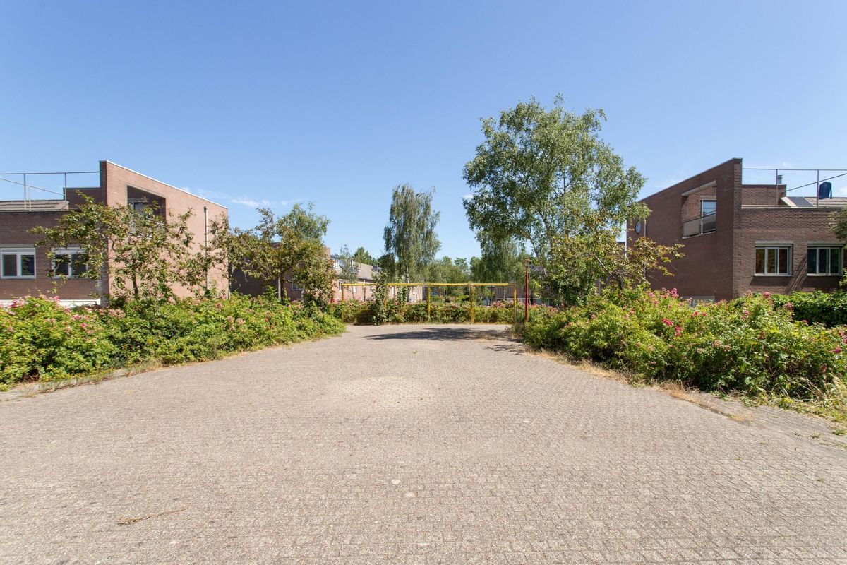 Wageningseberg 258 Photo Blur 34