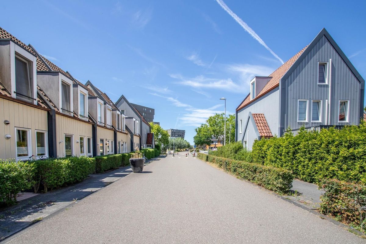 Hermelijnvlinderdijk 124 Photo Blur 32