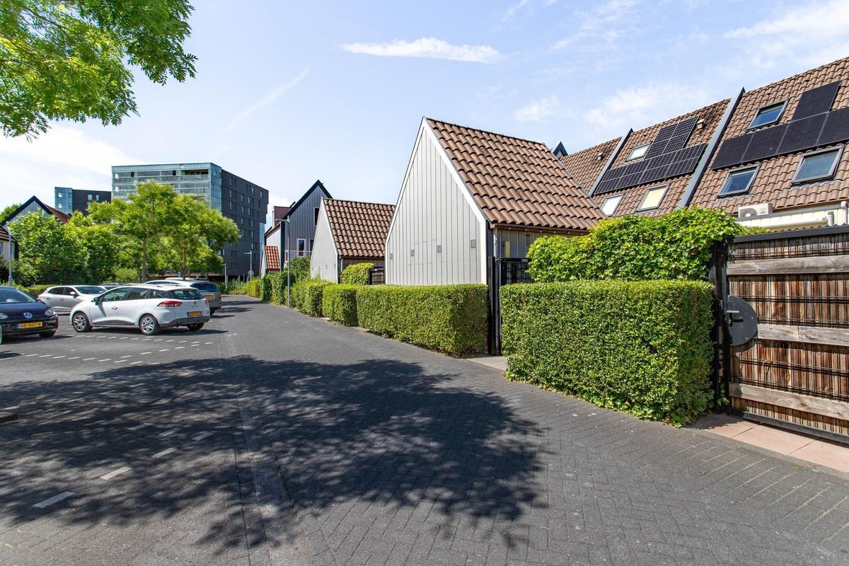 Hermelijnvlinderdijk 124 Photo Blur 31