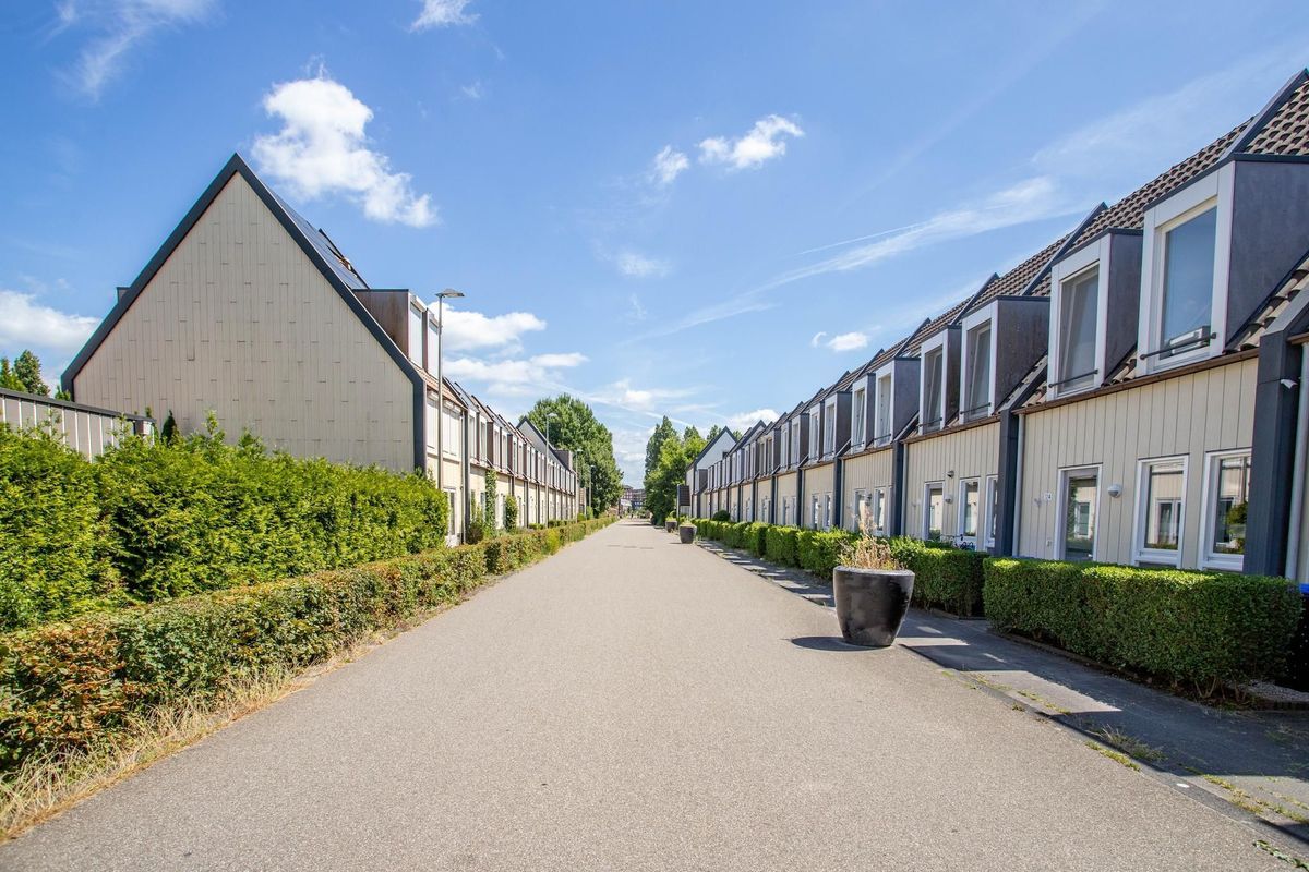 Hermelijnvlinderdijk 124 Photo Blur 33