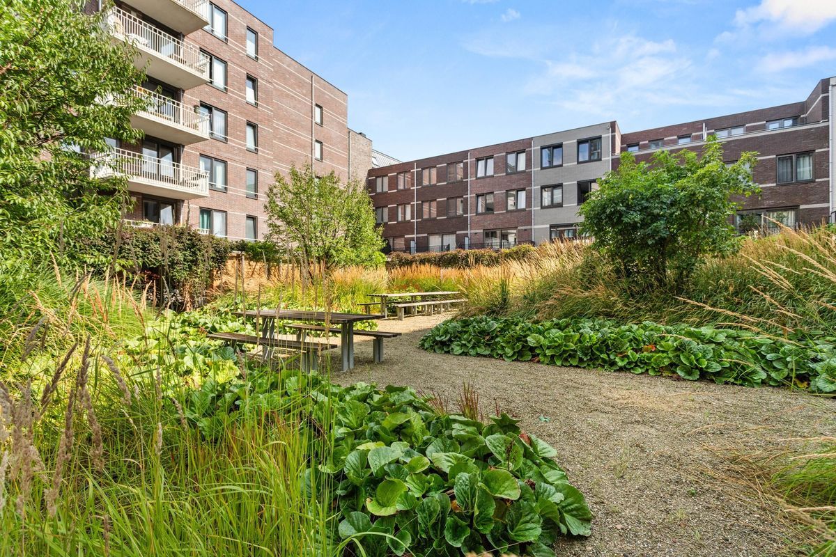 Korenschoofstraat 34 Photo Blur 21