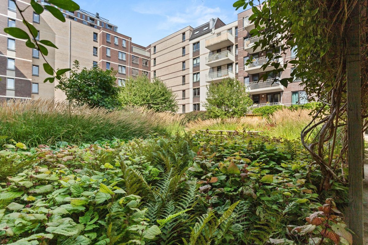 Korenschoofstraat 34 Photo Blur 20