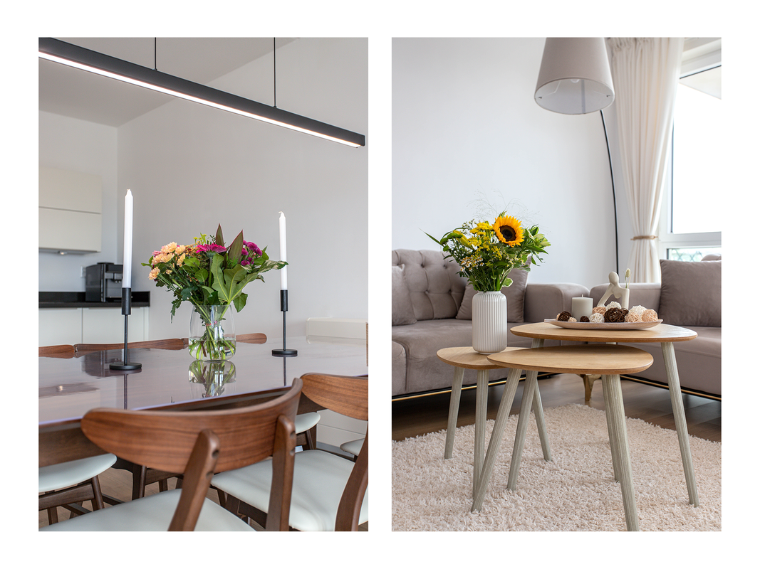 Pablo Picassostraat 530 Photo Blur 6