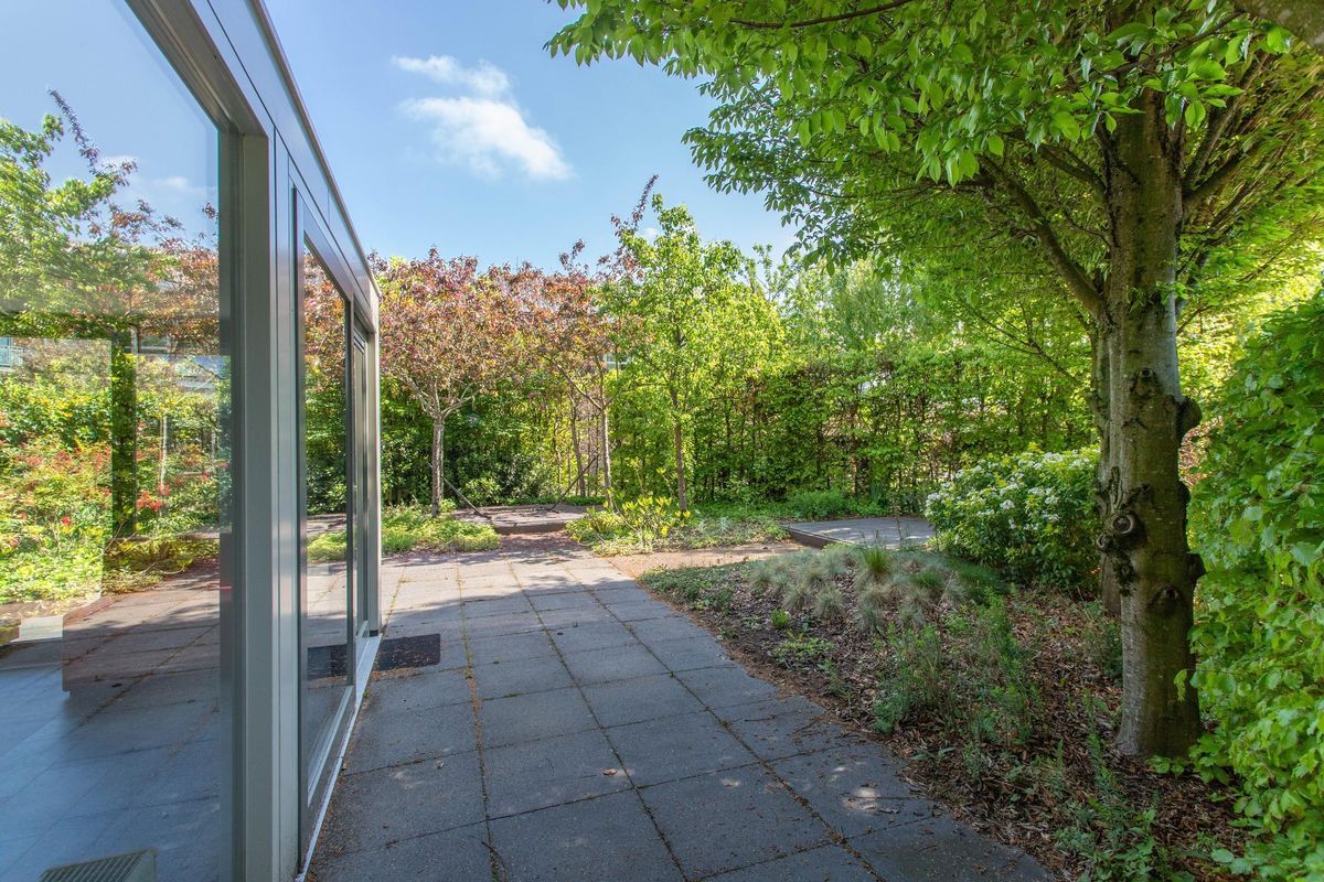 Vuurvlindersingel 12 Photo Blur 38