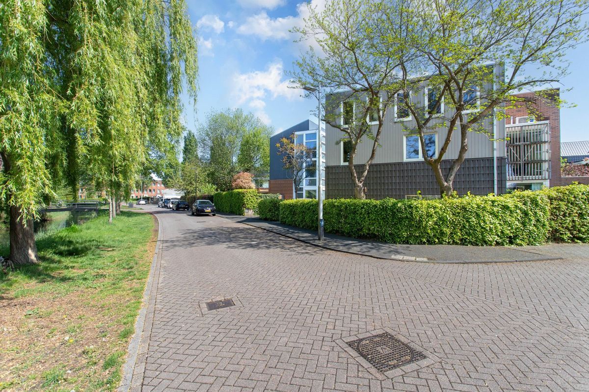 Vuurvlindersingel 12 Photo Blur 45