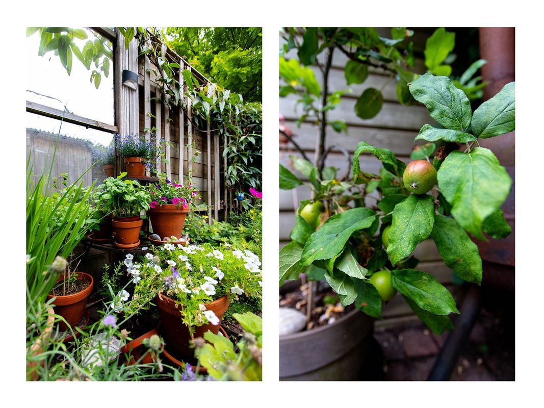 Coornhertstraat 49 Photo Blur 38