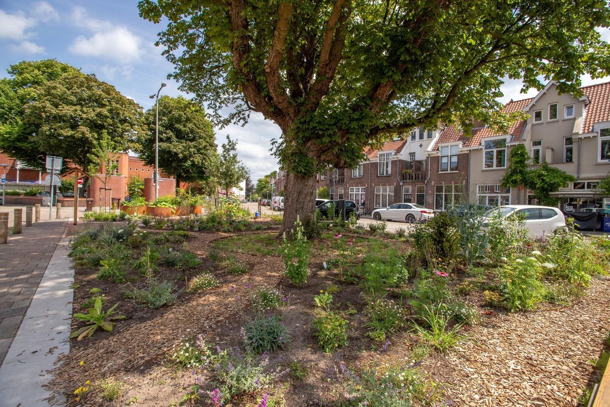 Spieghelstraat 28 Photo Blur 29