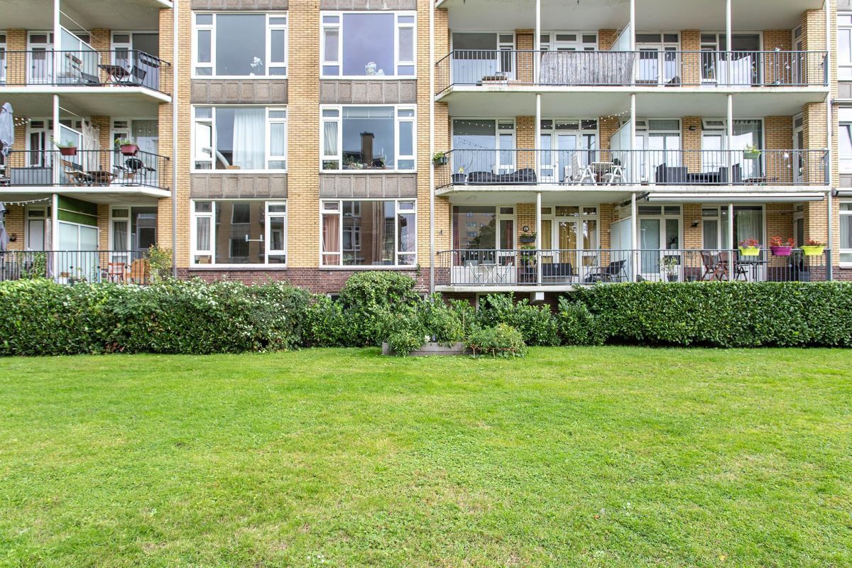 Tolsteegplantsoen 20 Photo Blur 20