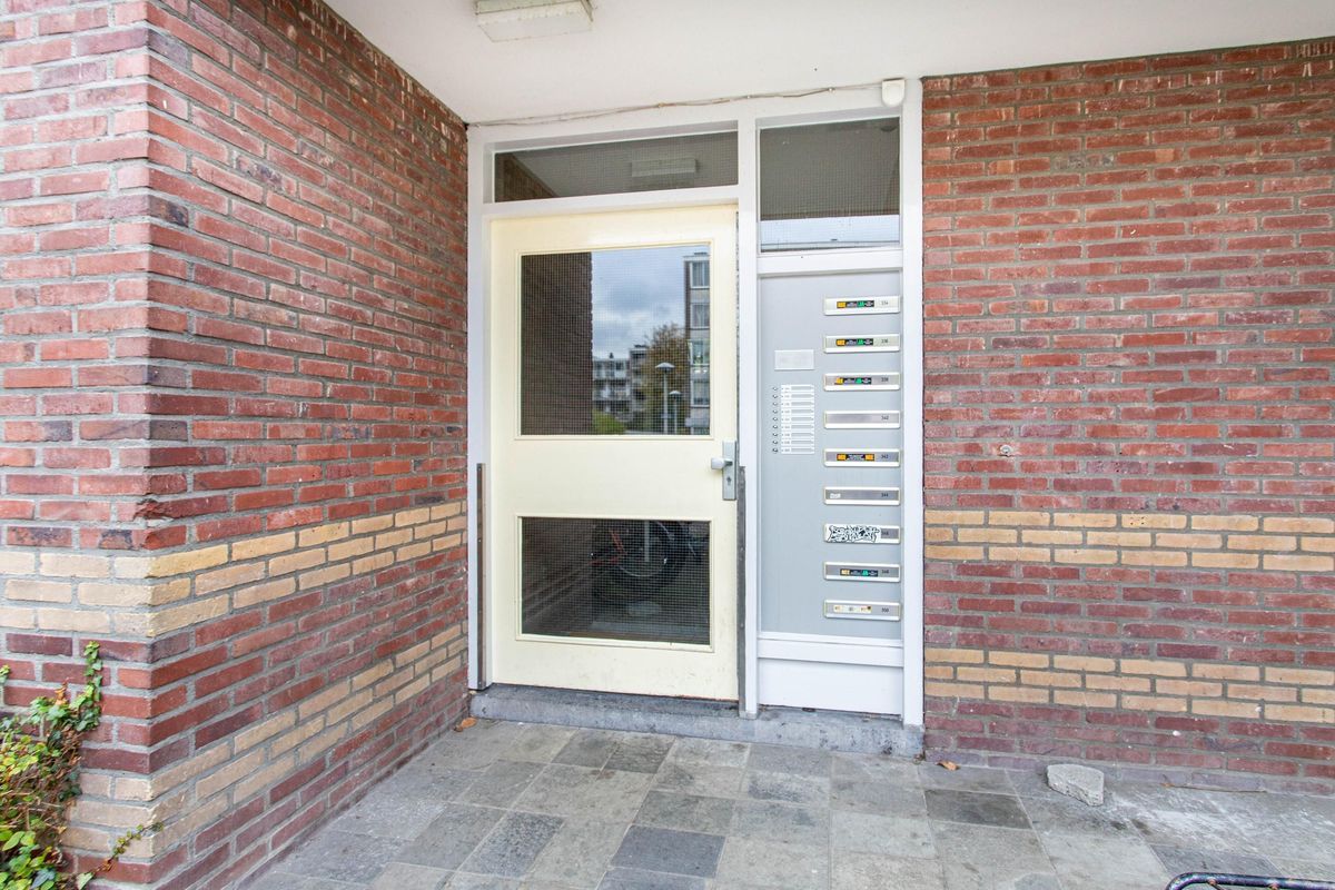 Van Eysingalaan 344 Photo Blur 22