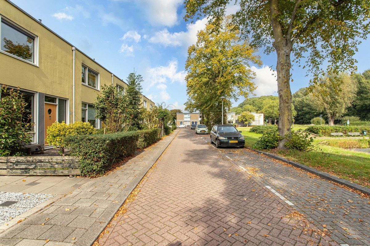 Herautsingel 54 Photo Blur 34