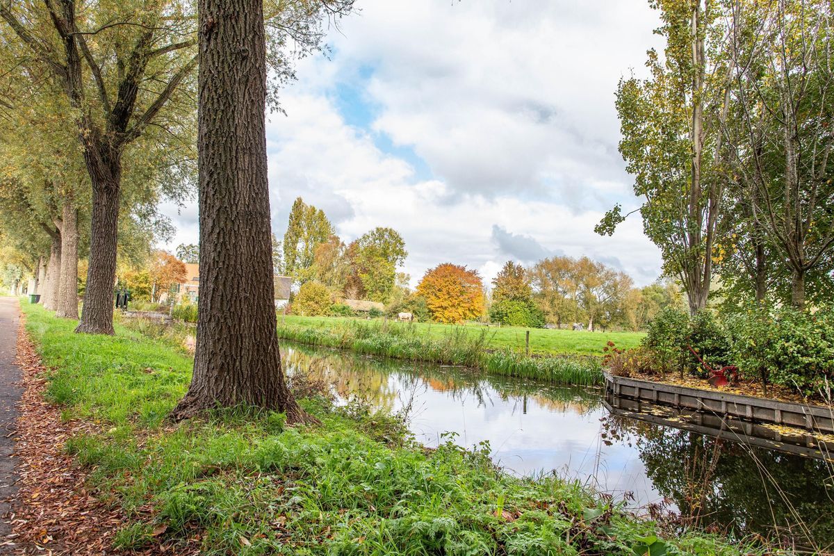 Klokjeslaan 84 Photo Blur 41