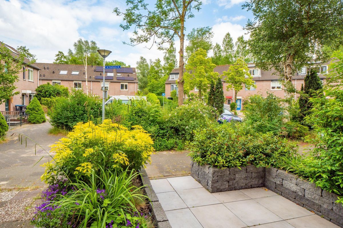 Chathams 38 Photo Blur 13