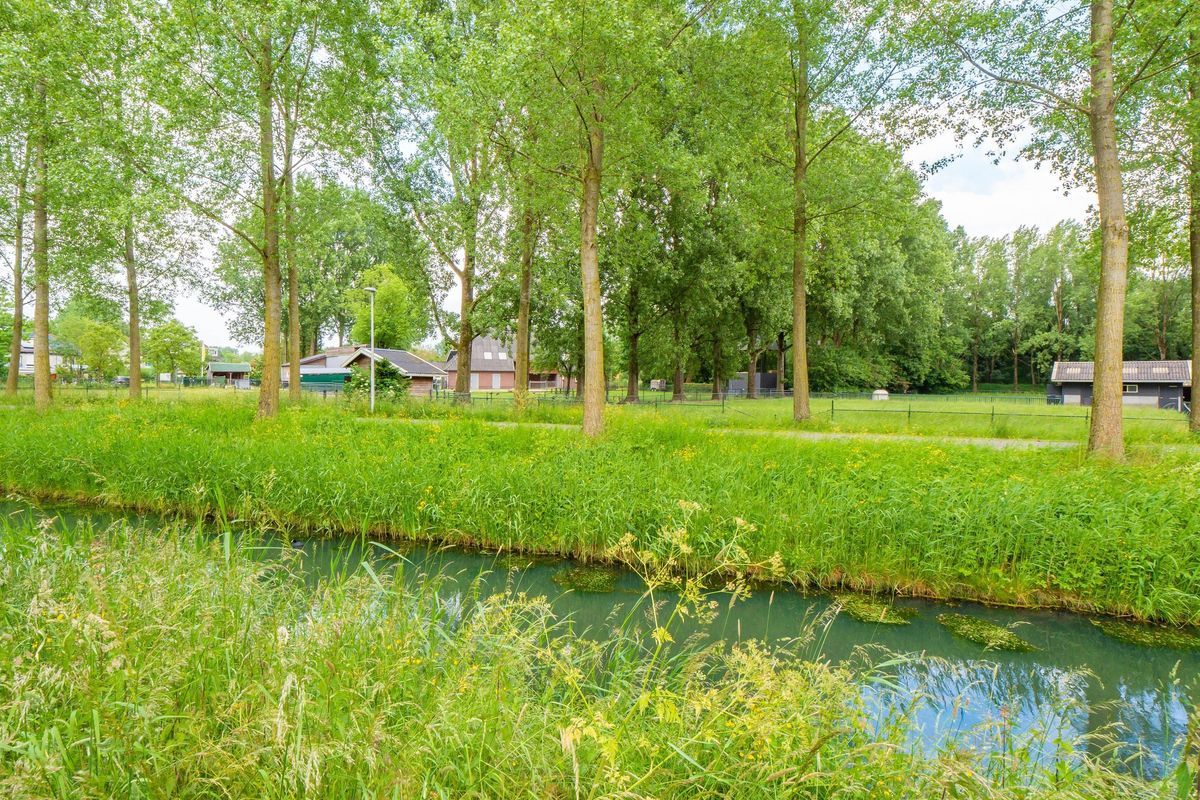 Chathams 38 Photo Blur 18