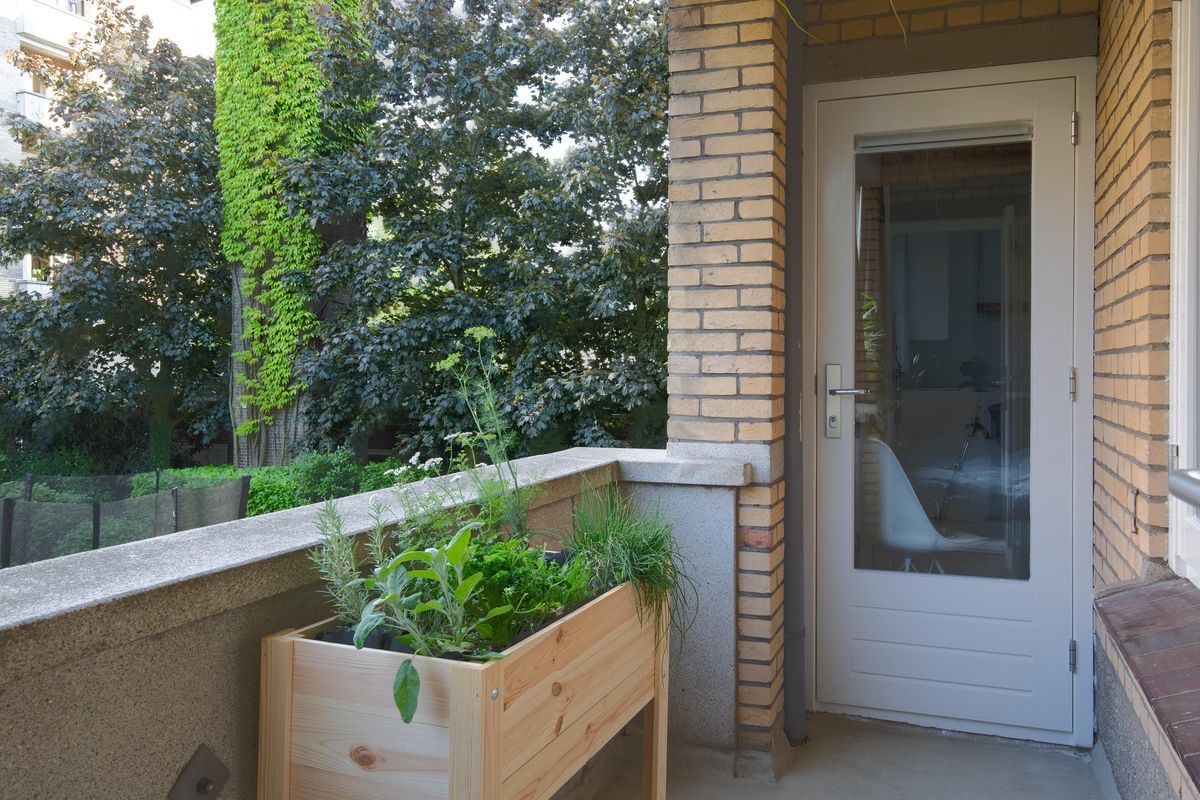 Israelslaan 12 Photo Blur 26